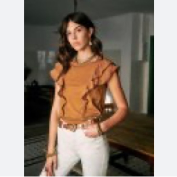 SEZANE Agnan T-Shirt in Coffee - XS - Picture 3 of 10